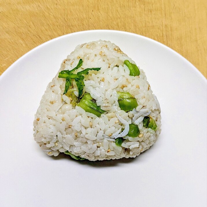 大根葉漬物としらすのおにぎり